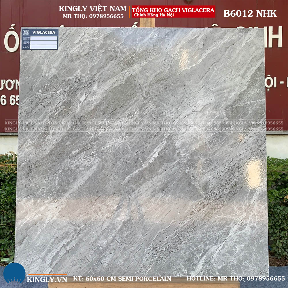 Gạch Viglacera 600x600 B6012